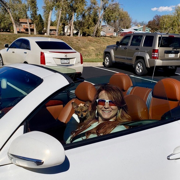 DJ - Picture 15 of 16